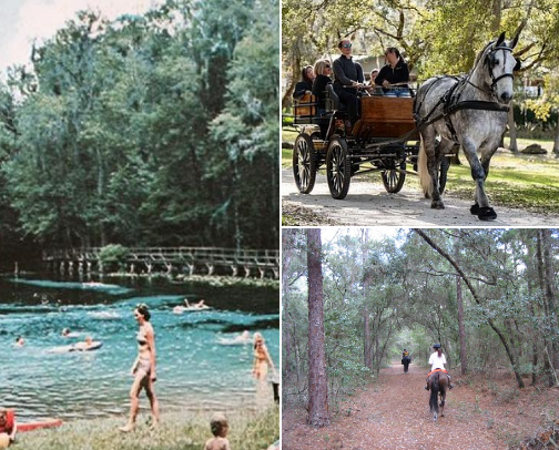 Places to go in Columbia County. cover photo collage
