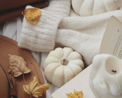 The Cozy Girl Edit — Fall Edition cover photo collage