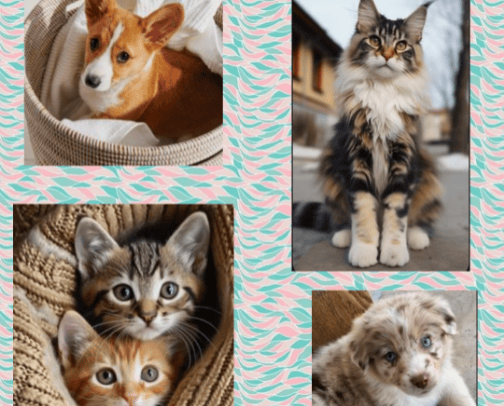 Fur baby must haves cover photo collage