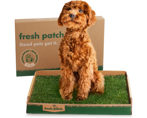 Puppy Must-Haves cover photo collage