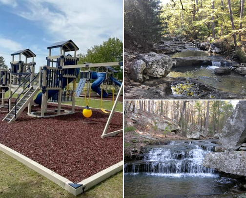 My Local Favorites cover photo collage