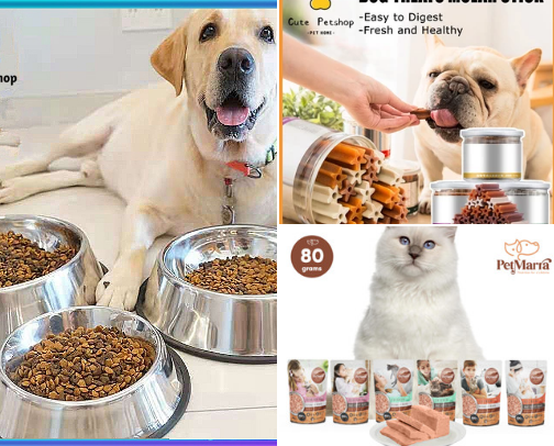 High quality things That your pet needs cover photo collage