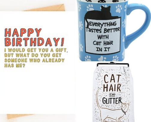 Best Gifts From Chewy for Pet Lovers—From Fun to Functional cover photo collage