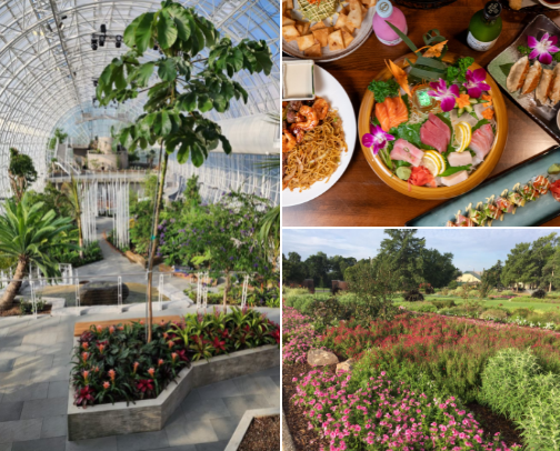 oooooklahoma (things to do here) cover photo collage