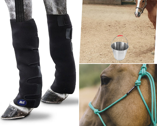 Amazon horse list cover photo collage