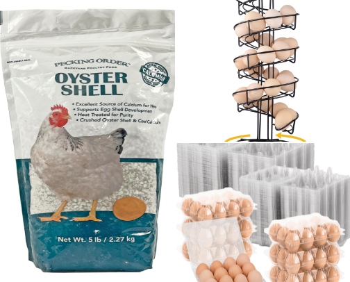Backyard Chicken Choices cover photo collage