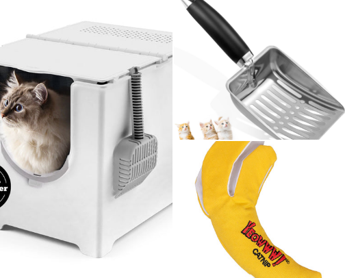 Cat care cover photo collage