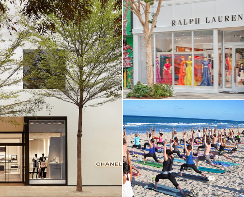 Magical Miami cover photo collage