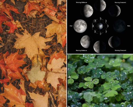 Little Things You Can Do to Make Every Day Feel More Magical + Whimsy | 🖤 cover photo collage