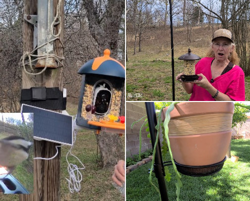 Bird Feeders cover photo collage