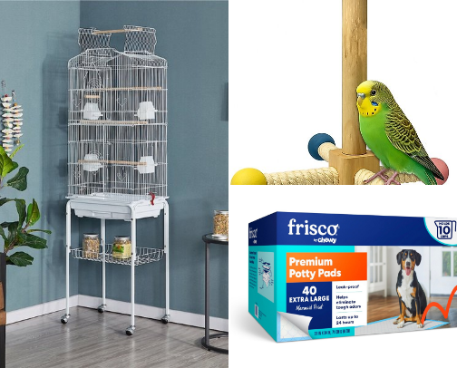 Owning a canary cover photo collage