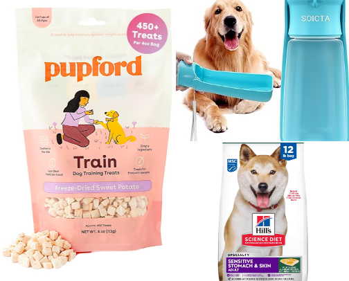 Tried and Loved Frenchie Essentials 🐾 cover photo collage