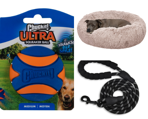 Dog Mom Must-Haves cover photo collage