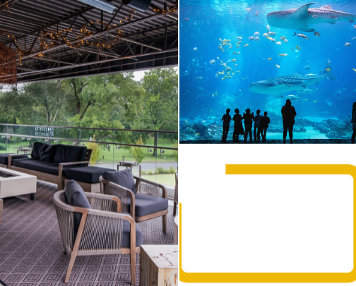 Atlanta Area Recs 🍑 cover photo collage