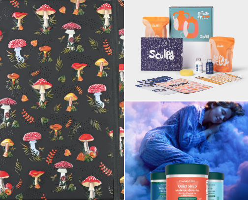 Mental Wellness Picks-Gentle Tools for Emotional Clarity cover photo collage