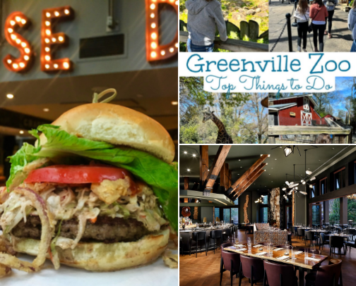 Greenville, SC 101 cover photo collage