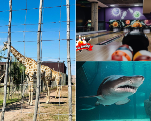Activities cover photo collage