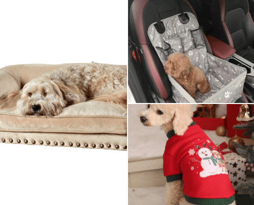 Fur babies needs🐶🐾 cover photo collage