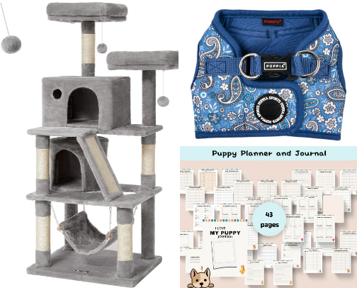 What actually works for my Senior & Reactive Pets cover photo collage