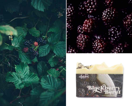 Blackberry shower routine cover photo collage