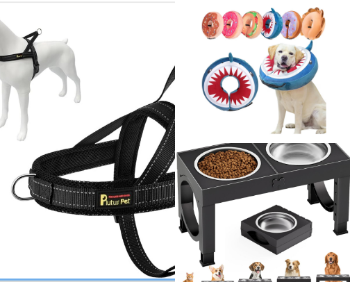 Sensitive Dog Essentials (Recovery, Wellness & Real-Life Tested) cover photo collage