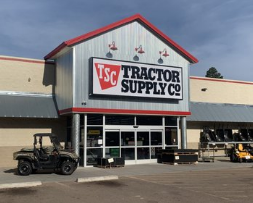 Chickens lead to chicken math cover photo collage