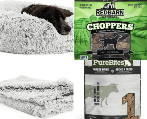 Everything Your Dog Needs 🐾 cover photo collage