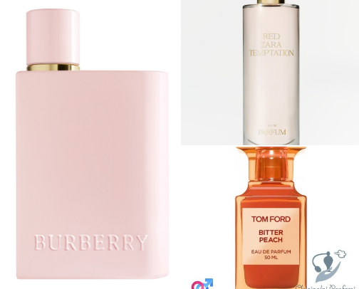 Parfumes cover photo collage
