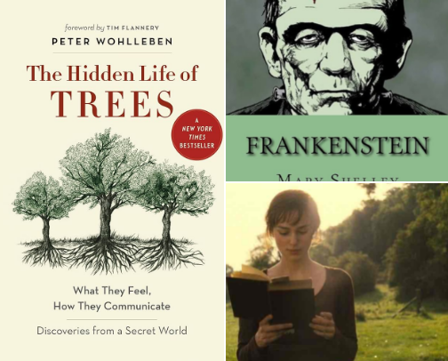 Books That Changed My Brain Chemistry. cover photo collage