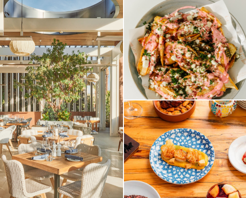 Where to eat in Lincoln Park, Chicago cover photo collage