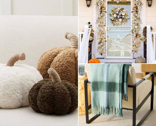 Cozy, Cute & Affordable: Fall Picks Under $25 🍁 cover photo collage