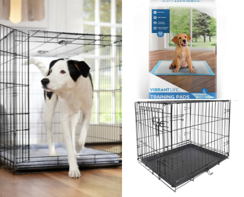 Puppy/dog affordable needs cover photo collage