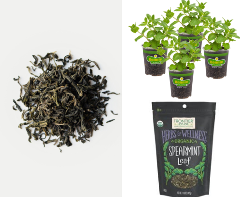 I Finally Found How to Recreate a Marrakech Mint Tea Ceremony at Home cover photo collage