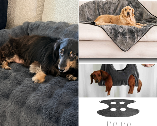 For the Dogs-Kings & Queen of our Home cover photo collage