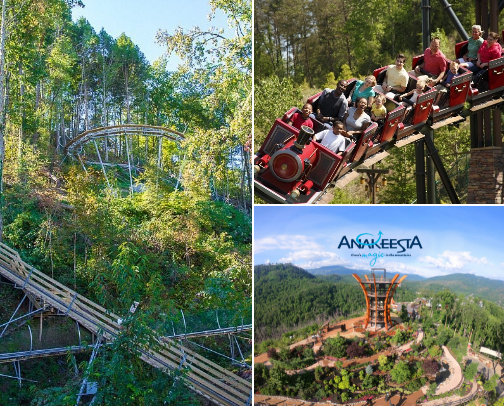 Gatlinburg Area Must See cover photo collage