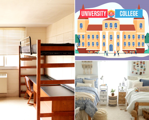 College Survival Kit & Dorm Must-Haves! cover photo collage