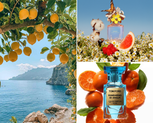 Summer fresh 🍋🍊🍋‍🟩 cover photo collage