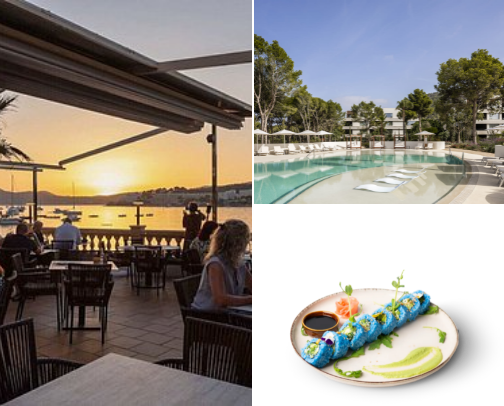 Mallorca Hôtels Recommendations cover photo collage