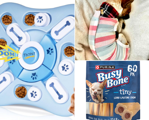 Active Puppy Must Haves cover photo collage