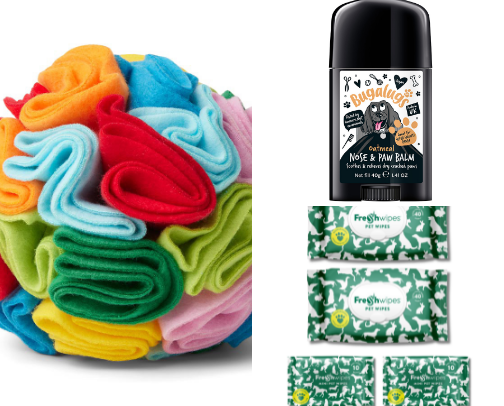 The Senior Dog Survival Kit: My Top 10 Products cover photo collage