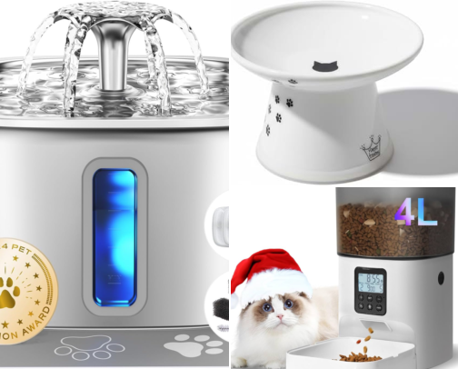 🐱 Cat Essentials | Amazon Pet Favorites cover photo collage