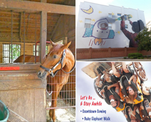 Sensational South Carolina cover photo collage