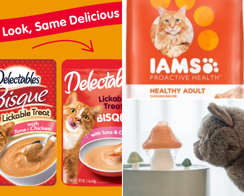 Everything you need for your cat cover photo collage