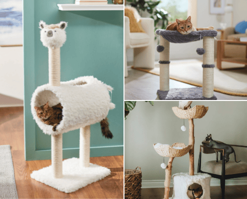 Cat Owner Must-Haves 🐶🐱 cover photo collage