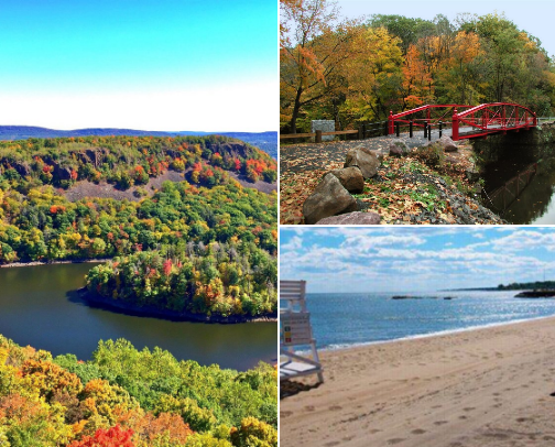 My local favs cover photo collage