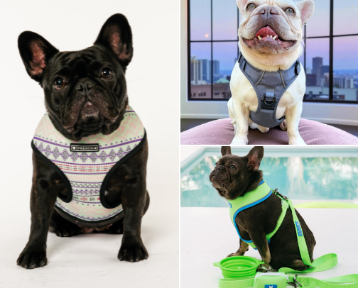 Frenchie Mom Essentials: Must-Have Products for French Bulldog Owners 🐾 ⭐ cover photo collage