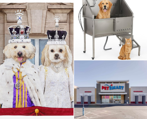 Splish-Splash Pet Bath Time and snuggles cover photo collage