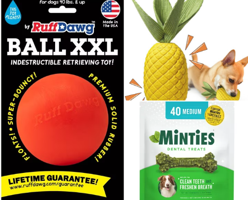 Dog relating items cover photo collage