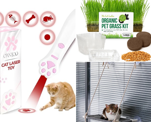 Cat Lover Essentials — Must-Have Cat Products Every Pet Parent Needs cover photo collage