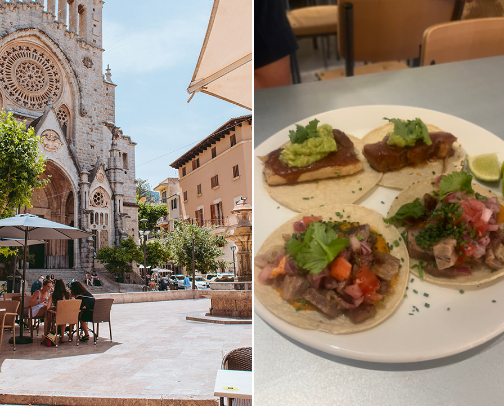 Mallorca reccomendations cover photo collage